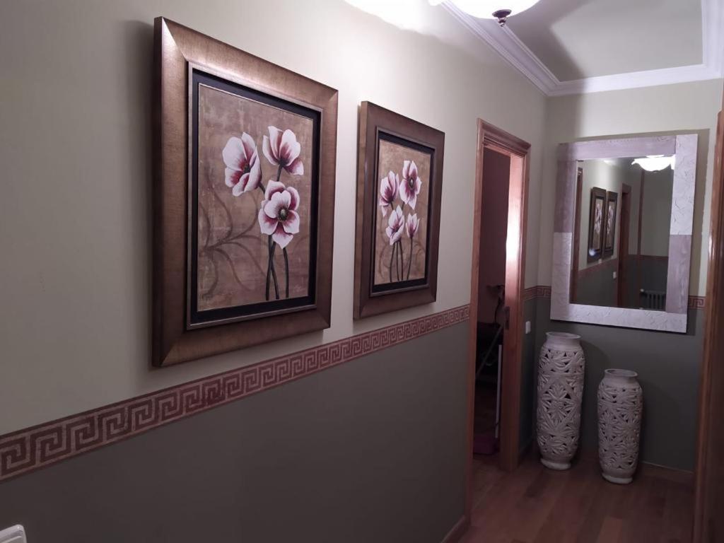 Nice Apartment Don Santiago Santiago de Compostela Bagian luar foto